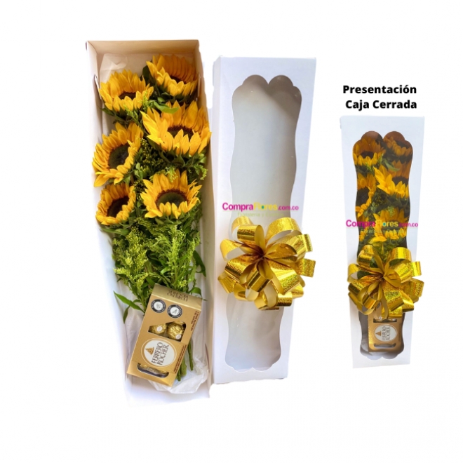 Caja de girasoles 