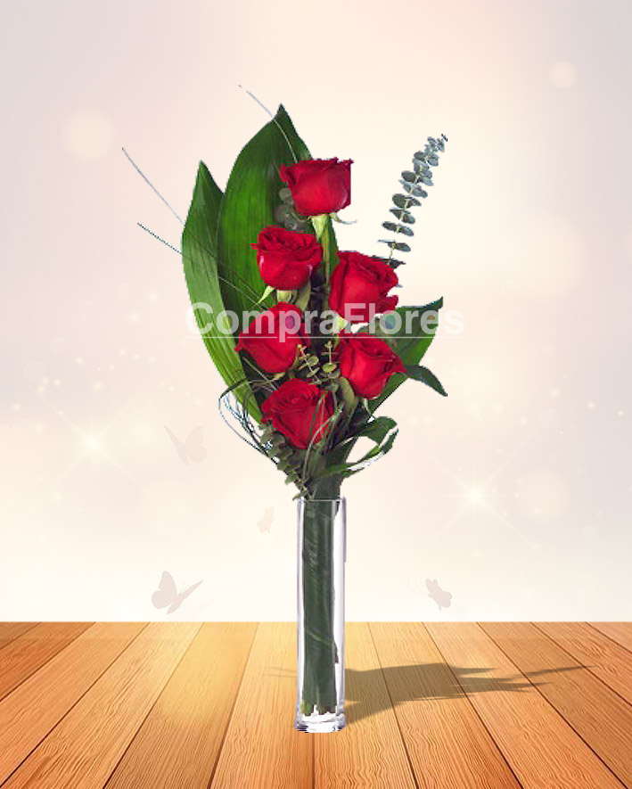 solitario rojo
